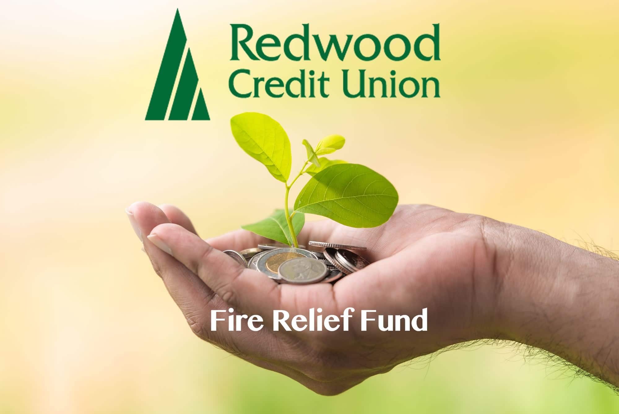 You are currently viewing Redwood Credit Union Opens 2020 Fire Relief Fund