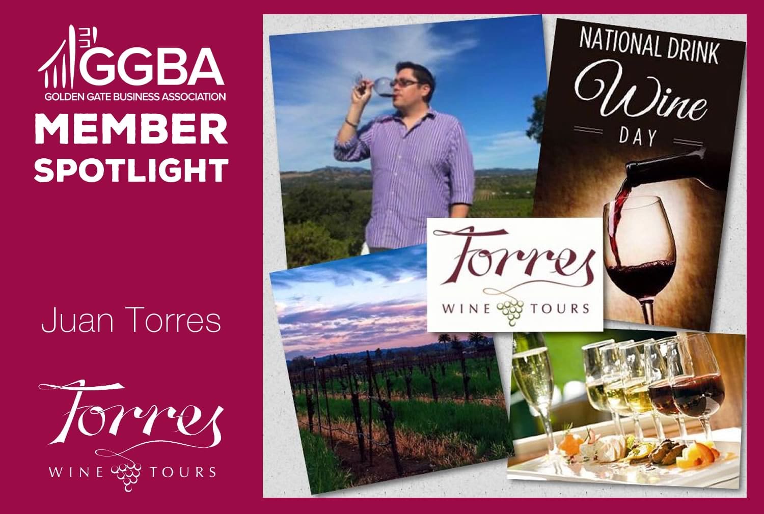 You are currently viewing Member Spotlight: Torres Wine Tours