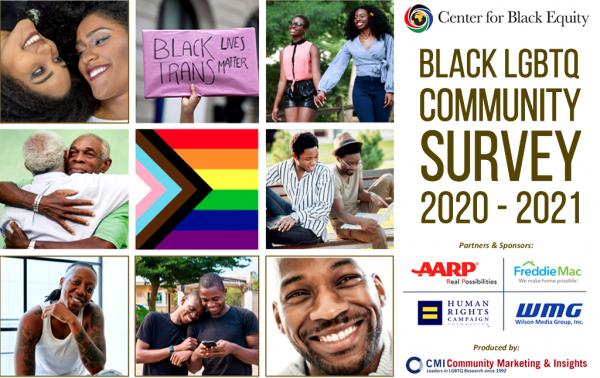 Read more about the article Webinar and Black LGBTQ Community Survey Results