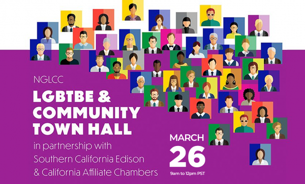 Read more about the article NGLCC LGBTBE & Community Town Hall