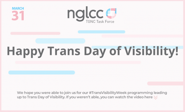 Read more about the article NGLCC: Happy Trans Day of Visibility!